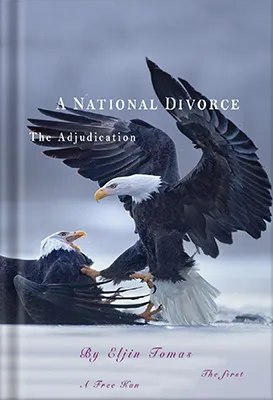 A-National-Divorce-2021 by Publishing Orbit